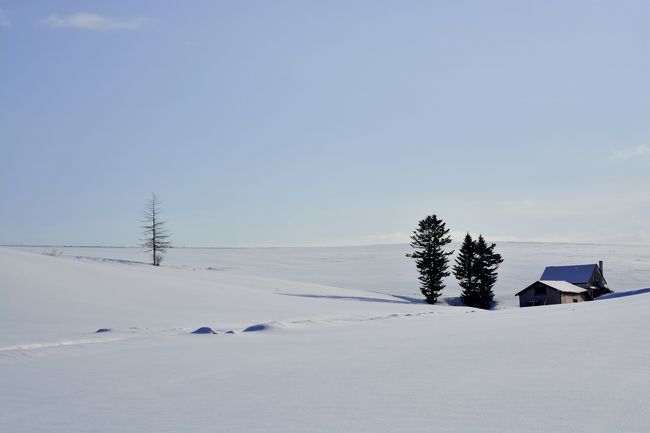 赤い屋根の家もすっかり白い屋根です。