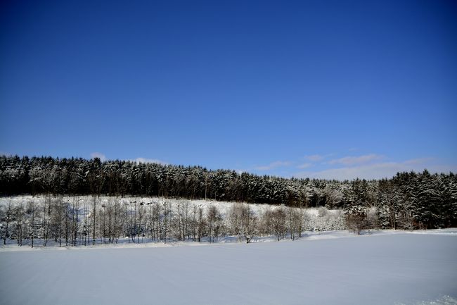 青い空に感謝。