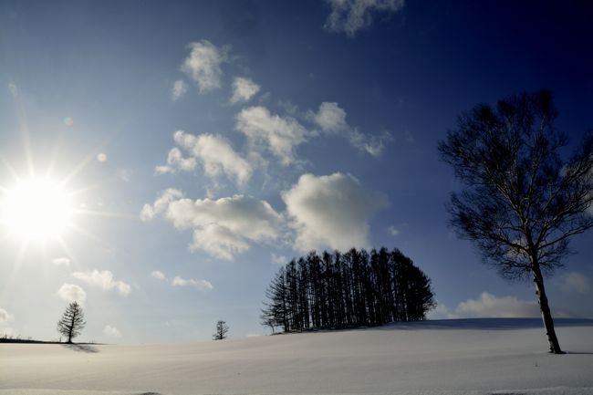 太陽の光が清々しいですね。
