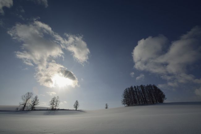 この時間は影の向きが合いませんが…