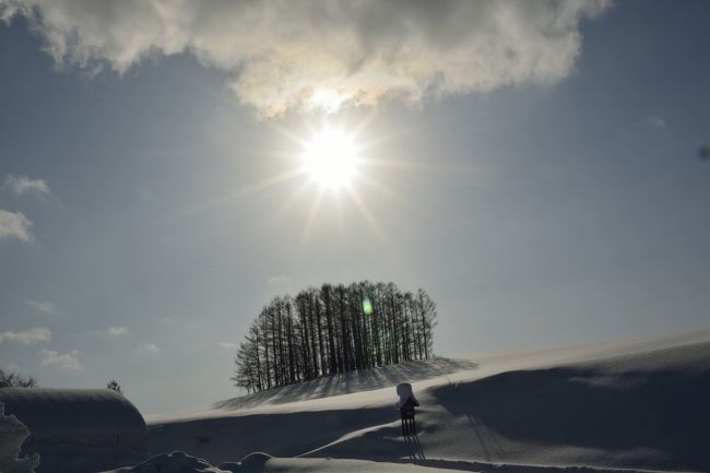 こっち側から撮ると影を正面にする事が出来ますね。<br />相当斜めってますが…。