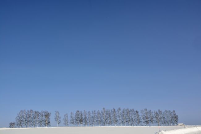 ここもアジア系の団体さんが次から次へとやってきますね。