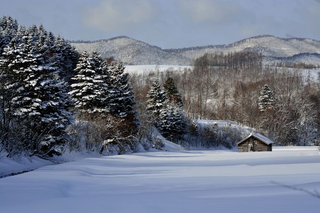何気なく小屋がある風景。