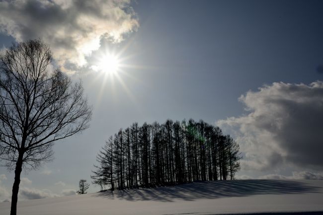 太陽の位置が若干下過ぎますね。<br />もう少しでしょうか。