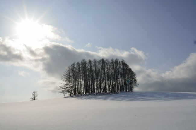 とりあえずお昼にしてまた午後来ましょう。