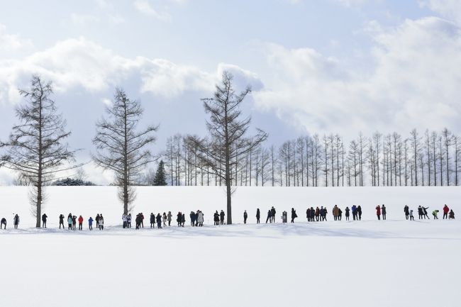 大型バス2台止まっていました。<br />奥の木の本数と同じ位の外国人旅行者が並んでいます。