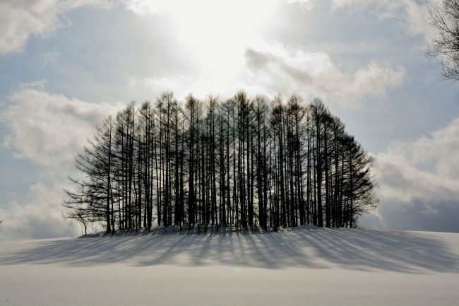 そうそう、こんな写真が撮りたかったのです！