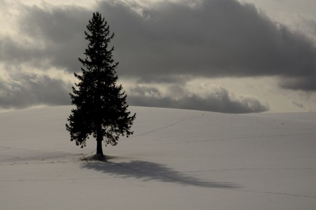くる時間によって様々な表情を見せてくれます。