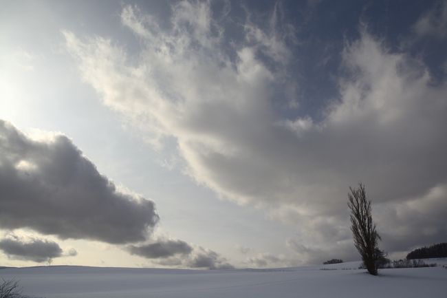 The BIEI　みたいな。