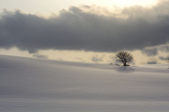 雲が厚く夕焼けは期待できませんね。