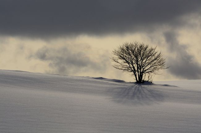 空の色が変わってきました。