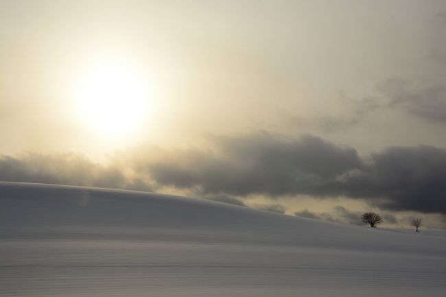 すごい勢いで日が落ちていきますが雲が…。