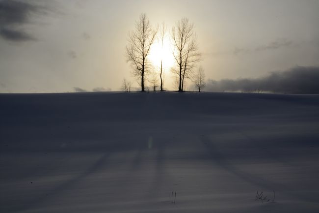 もっと影を出したいのですが…。
