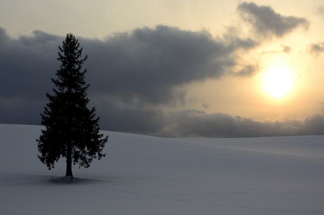 もっとこの素晴らしい情景を表現したいのですが、私の腕ではこんなもんで精いっぱいです。