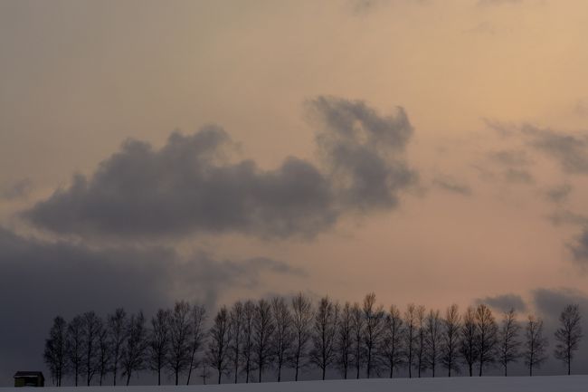 日没前最後にたどり着いた白樺並木。<br />もっと真っ赤に染まってほしかったですが残念ながらここまでです。