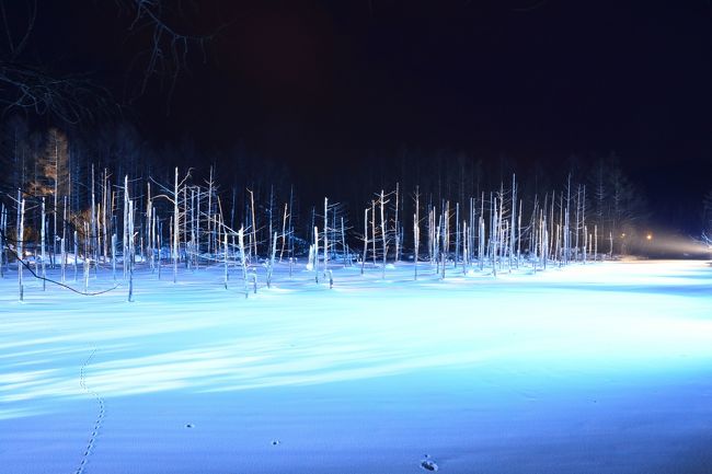 いよいよ一泊の美瑛の旅は終わります。<br />飛行機の離陸まで時間があったので最後に青い池を見納めしましょう。<br />雪もなく同じような写真を撮りまくりますが、PC で見てビックリ。