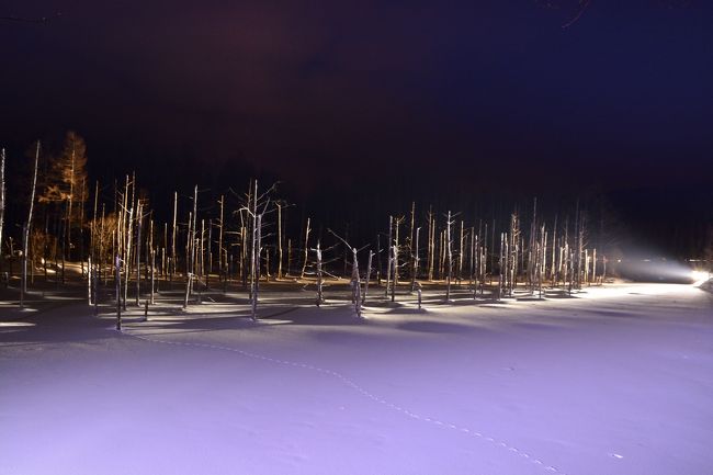 ピンボケだらけでしたー(T_T)