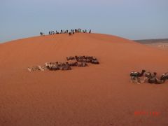 エルフードのホテルを5時半に4輪駆動車のジープで出発して
サハラ砂漠、メルズーガ大砂丘にやって来ました。
座って休んでいるラクダと日の出を見ようと高い所に陣取っている人。