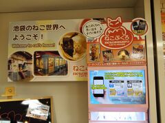 いや、猫カフェがある処がちょっと違うか。