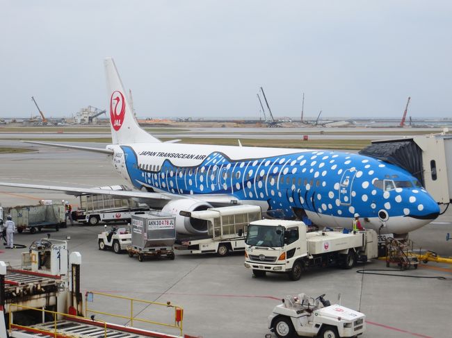 機材繰りは前回と変更ありません。<br />那覇石垣-石垣那覇-那覇久米島-久米島那覇の4レグは全てこの機材でした。<br />B737-400 JA8939 このジンベイジェットに搭乗するのは初めてです。<br /><br />