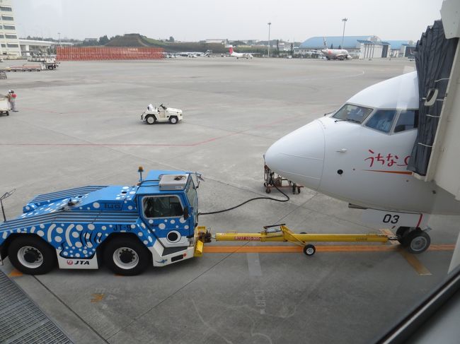 那覇宮古-宮古那覇-那覇宮古-宮古羽田の4レグは全てこの機材でした。<br />B737-800 JA03RK<br />この機体は、先月できたばかりピカピカの新造機です。<br />