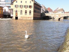 白鳥とプティットフランス。
このあとお土産を買いにモノプリへ。
メモ用紙を購入。