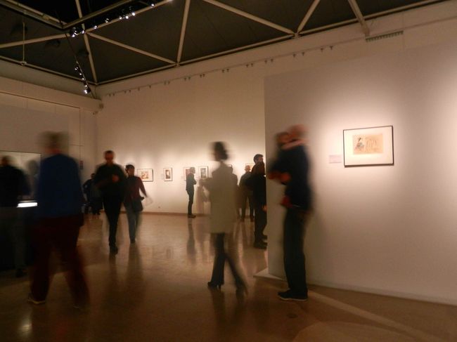 会場はこんなかんじでした。<br /><br />着物を着ている日本人女性や合気道をならっているベルギー人なのか袴姿のベルギー人男性も目にしました。<br /><br />最後にDimitri Piotという浮世絵の手法でイラストを描く人の展示もありました。