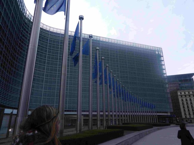 EUの旗が掲げられています。<br /><br />EUの旗にある黄色い星は、12個と決められているそうです。<br />ここに掲げられる旗の数は加盟国の数なので増えたり減ったり（初めて）します。<br />イギリスは出て行っちゃうんですね。