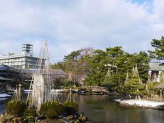 白山公園は日本庭園のような趣のある場所だった。