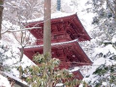 三十の塔
神仏習合の名残りを残す貴重な塔、神宝殿と呼ぶそうです。