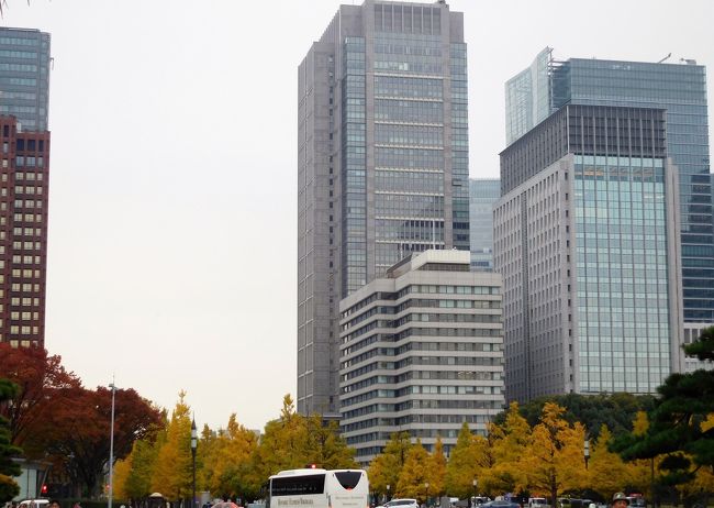 　集合場所の桔梗門がある広場はまっすぐ進むと東京駅です。