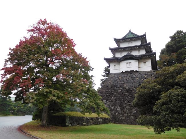 　富士見櫓と紅葉
