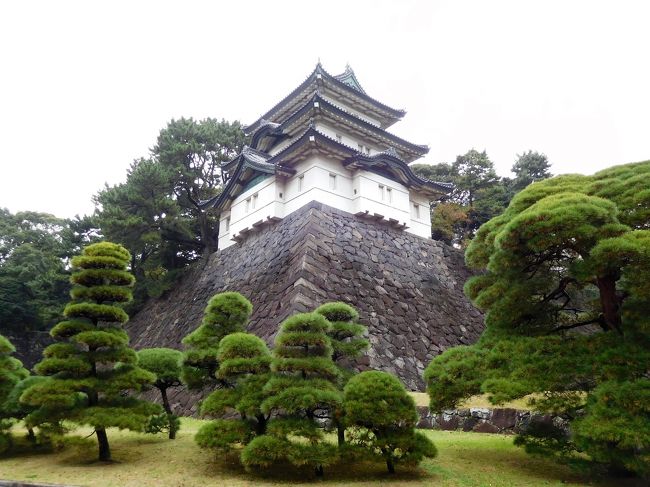 　富士見櫓の回りには手入れのされた松