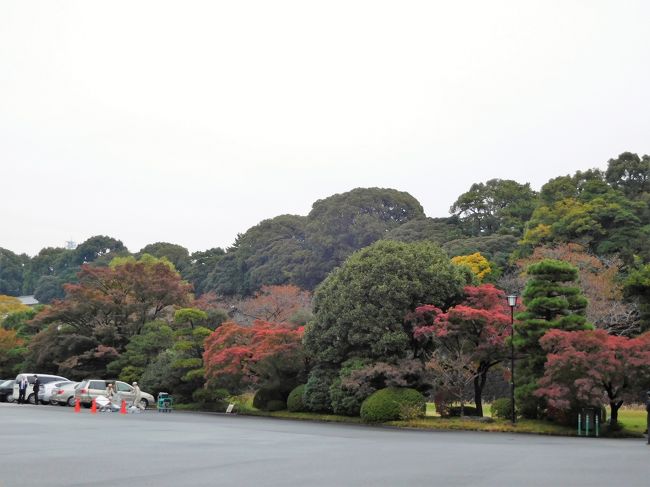 　こちらは東御苑の方。<br />乾通りを通らず宮内庁庁舎の前を歩きます。