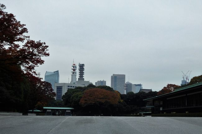 　向こうは二重橋の方
