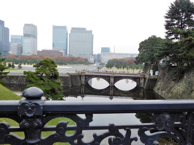 ちょっと背伸びをして皇居外苑を見ました。