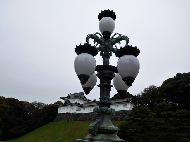 　しつこく・・・。