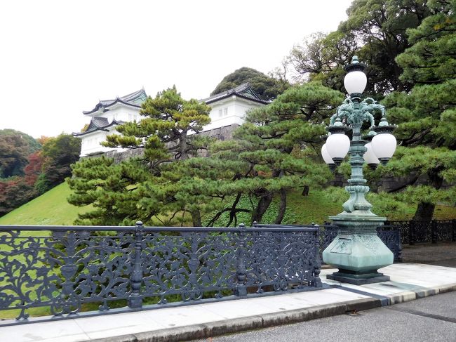 　少しづつ橋を渡り終えています。