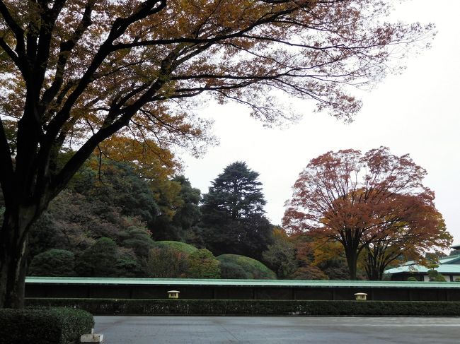 　千草・千代の間の前にある庭<br /><br />あれはツツジの木だったかな。