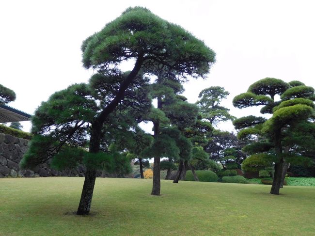 　勤労奉仕の人達が来られていました。