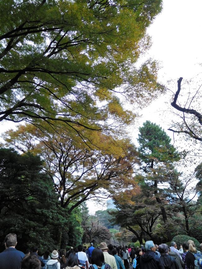 　みんなゾロゾロ山下通りを下っています。<br /><br />山下通りは山の下だからだそうです。<br />人の名前ではありません。