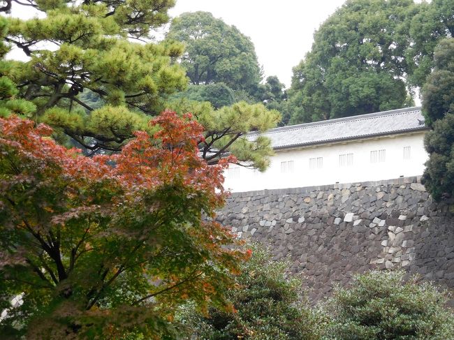 　山下通りを下ると富士見多門が見えます。