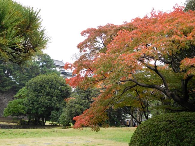 　ちょっとアップ