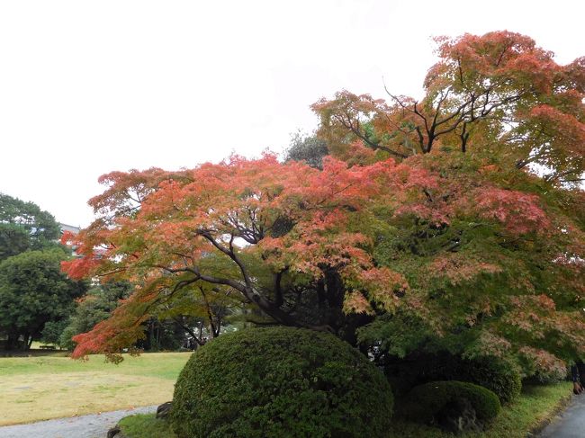 こちらもきれいです。