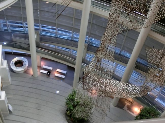 上から吹き抜けを見るとこんな感じ。