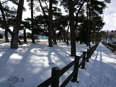 2日目【松島】

雪の松島。
この日も晴れているのに終始 雪がパラついていました。