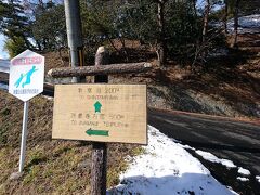 2日目【松島 新富山】

高いところから松島を見たくて「新富山」の展望台へ。
たいした坂道ではなく展望台までは15分ぐらいで到着。