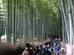 嵯峨野の竹林を見に行った・