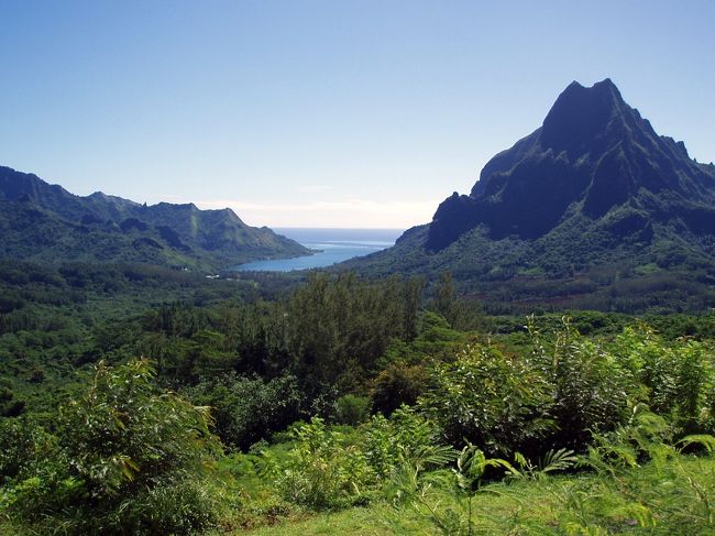 １０年以上前だから山の名前を忘れてしまいました(汗）