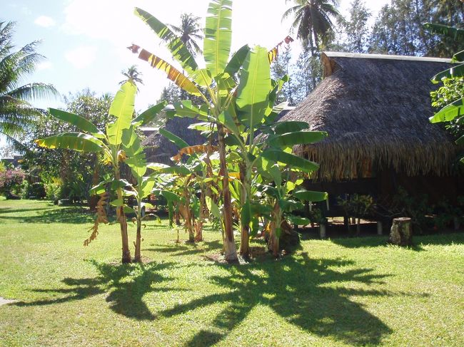 ある日の昼食。ホテルハイビスカスにて。
